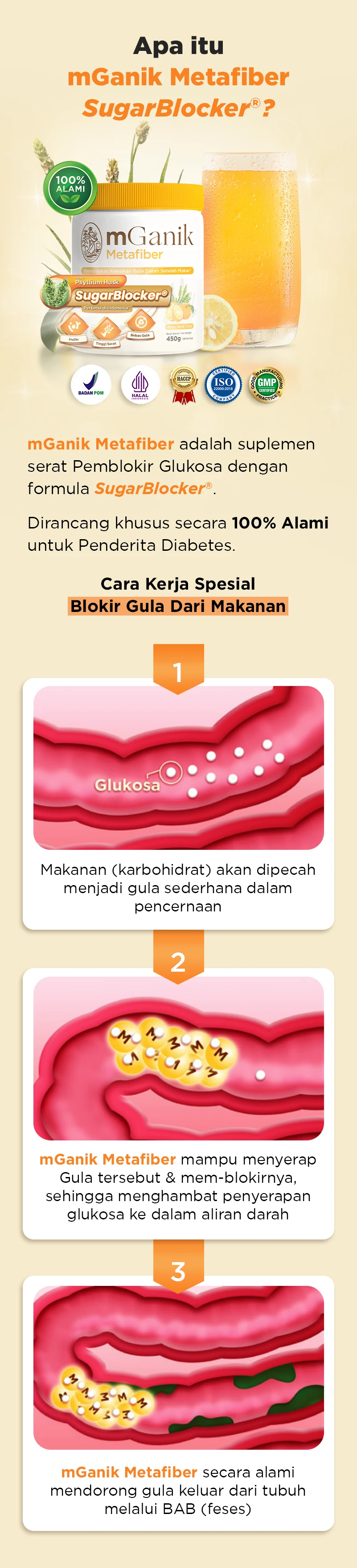 A Descriptive Caption For The Image